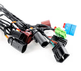 VW/Audi Genuine European Dynamic LED Tail Lights w/ Adapter Harness Wiring - VW / Mk8 / Golf / GTI / R 5H1052200A-KT