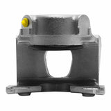 Dynamic Friction 1973-1983 Ford F-20100 2WD Front Right Premium Caliper - Silver Zinc Coated by Dynamic Friction Company 331-54162