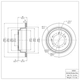 Dynamic Friction 2010-2018 Nissan Patrol (Latin America) Rear Brake Rotor by Dynamic Friction Company 600-00003