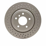 Dynamic Friction 2001-2006 BMW 330Ci Rear Drilled GeoSPEC Coated Rotor (320x21.9 Vented) by Dynamic Friction Company 624-31053