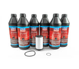 DSG Transmission Filter Kit with Liqui-Moly Fluid DQ250