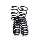 EMD Auto Lowering Springs - Audi RS3 8V