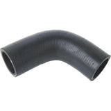 Radiator Hose - Triumph