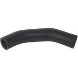 Radiator Hose - Triumph