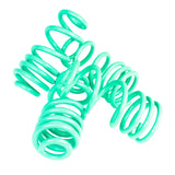 iE Lowering Springs - Audi B10 S5
