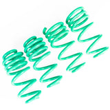 iE Lowering Springs - Audi B10 S5