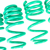 iE Lowering Springs - Audi B10 S5