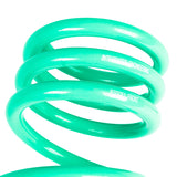 iE Lowering Springs - Audi B10 S5