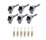 Ignition Service Kit - Porsche / 3.0L / 991 911