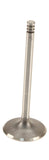 Intake Valve  (105.95mm ) - VW 12v VR6 by AE 021109601L-AE