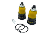 Whiteline Center Adjuster Roll Kit - Acura RSX 2005-2006 by Whiteline WHL-KCA519
