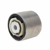 Control Arm Bushing - Jaguar