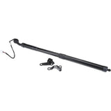 Liftgate Lift Support Left - Lexus