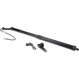 Liftgate Lift Support Right - Lexus