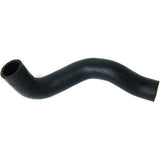 Radiator Hose - Jaguar