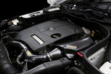 ARMASPEED Carbon Fiber Cold Air Intake - Benz M274 W212 E250 by ARMASPEED ARMABZE250-A