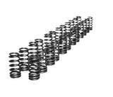 CarBahn High Performance Valve Spring Kit - BMW / S55 / S58 / B58 by CarBahn DC526-2498