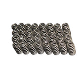 CarBahn S63 High Performance Valve Spring Kit - BMW / F9X /  M5 / M6 / M8 / X5M / X6M by CarBahn DC526-2460