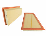Air Filter BMW F10 E89 G29 528i xDrive Z4 30i Z4 28i | 13717582908