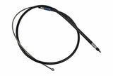 Parking Brake Cable - BMW | 34406770602