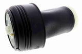 Air Spring Strut - BMW | 37126790081