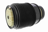 Air Spring Strut - Mercedes-Benz | 2123203725