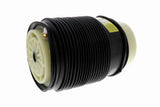 Air Spring Strut - Mercedes-Benz | 2123204425