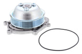 Water Pump - Porsche | 9A110604802