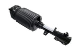 Air Suspension Strut - Lexus by Vemo 4809048030-VEM