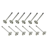 Valve - Complete Set | 12v VR6