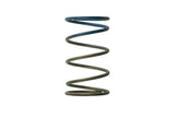 Turbosmart WG40 10PSI Outer Spring Brown/Blue by Turbosmart TS-0505-2005