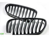 RW Carbon BMW E85 E86 Z4 Matte Black Grilles by RW Carbon bmwe85001