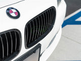 RW Carbon BMW F10 Gloss Black Kidney Grilles by RW Carbon bmwf10027