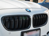 RW Carbon BMW F10 Gloss Black Double Slat Grilles by RW Carbon bmwf10049