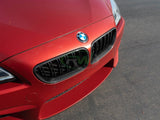 RW Carbon BMW F06 F12 F13 Carbon Fiber Grilles by RW Carbon bmwf12003