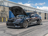 RW Carbon BMW F20 F22 F87 M2 GTS Style Carbon Fiber Hood by RW Carbon bmwf8722