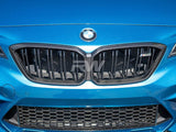 RW Carbon BMW F87 M2 Competition CF Grille Replacement by RW Carbon bmwf8728