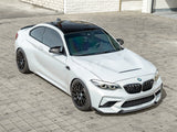 RW Carbon BMW F87 M2 F22 F23 GTS Style Aluminum Hood by RW Carbon bmwf8734