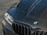 RW Carbon BMW G30 F90 M5 CS Style Carbon Fiber Hood by RW Carbon bmwf90038