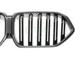 RW Carbon BMW G06 X6 F96 X6M CF Grille Replacement by RW Carbon bmwg06006