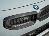 RW Carbon BMW G42 2-Series Carbon Fiber Grille Surrounds by RW Carbon bmwg42010