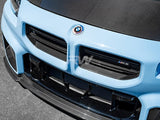 RW Carbon BMW G87 M2 OEM Style Carbon Fiber Grille by RW Carbon bmwg87044
