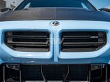 RW Carbon BMW G87 M2 OEM Style Carbon Fiber Grille by RW Carbon bmwg87044