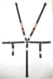 RaceQuip Black JR. CAMLOCK 5pt Seat Belt by RaceQuip RQP739009