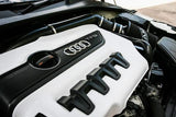 RamAir PRORAM Performance Intake Kit - Audi / 2.0L / TFSI / TT-S by RamAir PRK-110