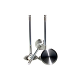 GSC Power Division Mitsubishi 4G63T Evo 1-9 Chrome Polished Exhaust Valve 30.5mm Head (STD) (Single) | GSC2001-01
