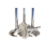 GSC Power Division EJ Series EJ205/EJ207/EJ257 Chrome Polished Super Alloy Exhaust Valve 32mm Head (STD) (Set of 8) | GSC2015-8