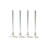 GSC Power Division Honda B-Series B16A/B17A/B18C Chrome Alloy Exhaust Valve 28mm Head 6mm Stem (Set of 8) | GSC2039-8