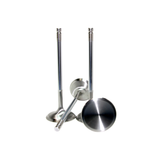 GSC Power Division Subaru/Scion BRZ/FR-S FA20 Chrome Polished Exhaust Valve 29mm Head (STD) (Single) | GSC2121-01