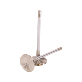 GSC Power Division Audi V10 5.2L/DAZA 2.5L 33.8mm Head (STD) 104.4mm Long Chrome Polished Intake Valve (Set of 10) | GSC2252-10